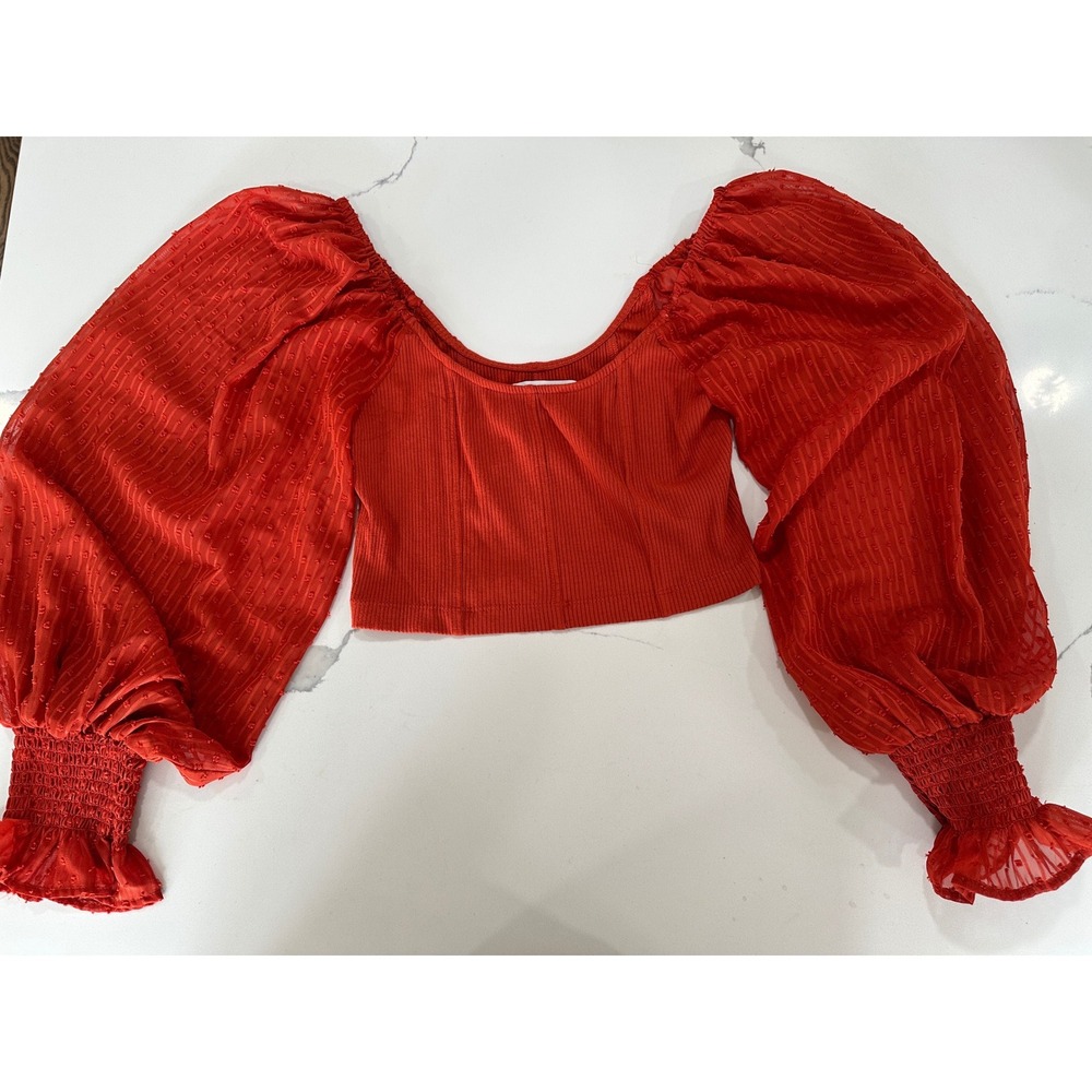 Red Ribbed Crop Top Sheer Swiss Dot Puff Sleeve M